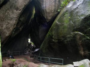 Gallery Thumbnail 4